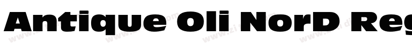 Antique Oli NorD Reg字体转换
